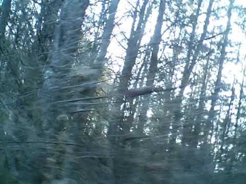 Au joly bois 3rd voice