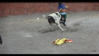 preview picture of video 'el toro se lo enterró al payaso Matucana 2013'