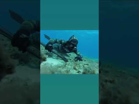 How To Catch Tako In Hawaii