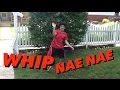 Whipnaenae