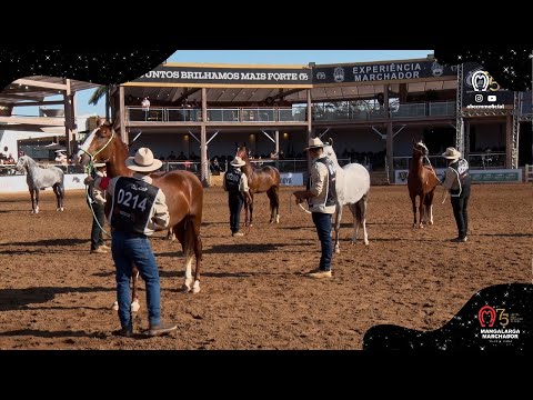 GRANDES CAMPEONATOS JOVENS - MARCHA BATIDA 2024