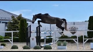 Video of Chaccodi