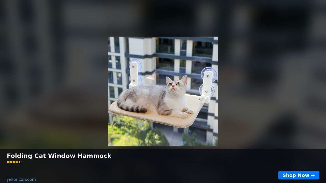 This $23 Game Changer Ends Pet Mess | J.E. Horizon