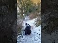 Snow Fall Fail Shorts Short Funny