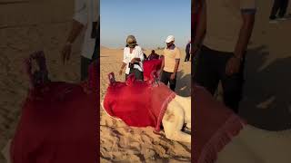 #foryou #travel #viral #shortvideo #trending #vlog #cruise #viralvideos #goviral #dailyvlog