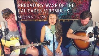 Predatory Wasp &amp; Romulus - Sufjan Stevens | Benjy, Camille &amp; Jared