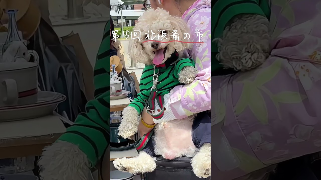 第15回 北浜蚤の市 flea market 中之島公園