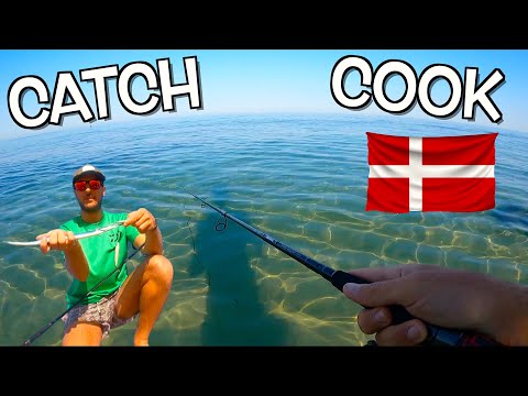 Shore fishing with metal jig from a Danish Beach! Crystal clear water, New Species, Catch & Cook!