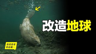 Re: [問卦] 總裁是不是超越老高了？