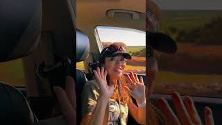 サファリに行ってきました！#southafrica #travel #bucketlist #happy #shorts  #南アフリカ #動物 #旅行  #旅行好きな人と繋がりたい