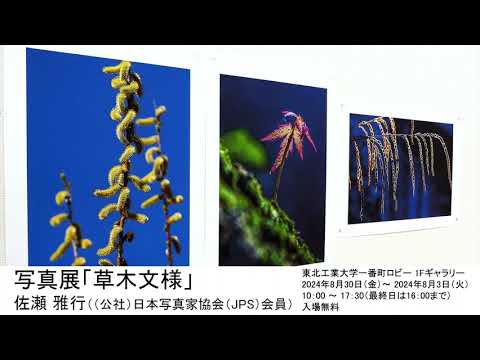 写真展「草木文様」