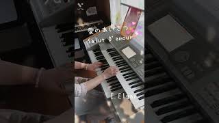 Download lagu 183.s【 愛のあいさつ♪～ Salut D'amour♪】E.Elgar mp3