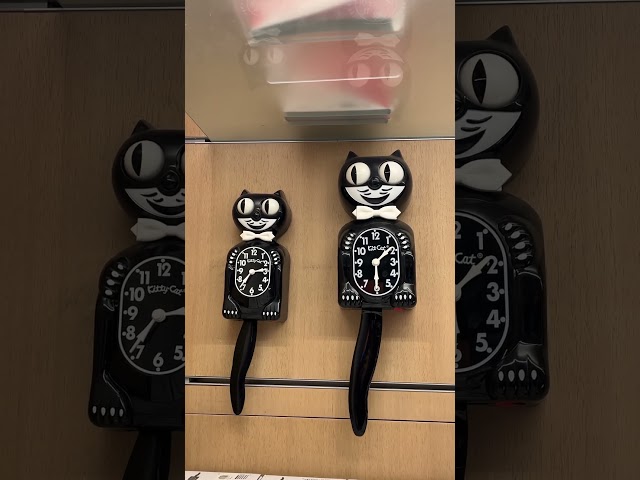 Vídeo relacionado con Kit Cat Klock Edición Limitada Lady (Azul Galaxia)