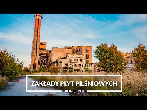 OPUSZCZONE ZAKŁADY PŁYT PILŚNIOWYCH - KONIECPOL [4K] | R@dosny #Urbex