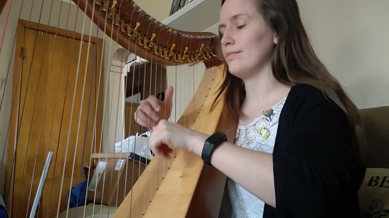 Promotional video thumbnail 1 for Amy Hemker
