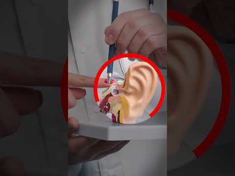 Ear Infection: Home Remedies to Get Rid of Ear Pain Fast