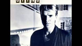 STING - THE DREAM OF THE BLUE TURTLES