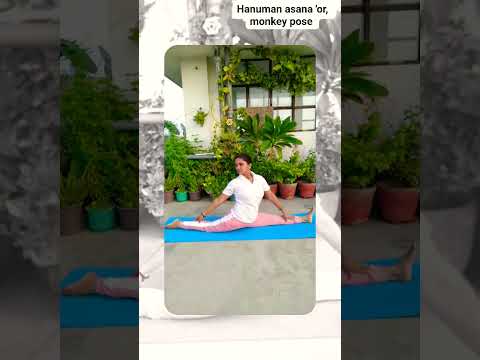 Hanuman asana ( monkey pose) is a seated asana in modern yoga as exercise #Arpana Nature's Yoga # 🙏
