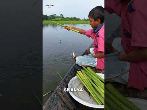 Dibawah Batang Ini ada ikannya 🐠 #shorts #momenunik #memancing #ikan #hewan #hewanair #pancingan