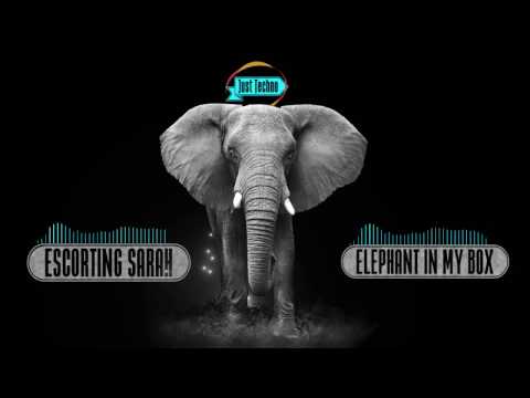 Escorting Sarah - Elephant In My Box (Digital Version)