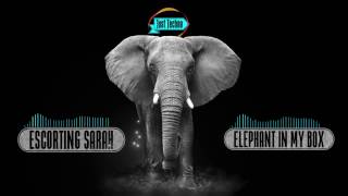 Escorting Sarah - Elephant In My Box (Digital Version)