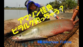 タイ AmazonBKK ピラルク釣っちゃう？