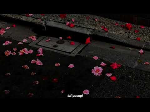 Los Reyes Del Cuarteto - Apareciste Tú (letra)