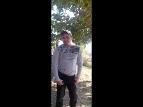 Nqkoi si dimitrov kratka pesen