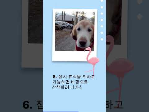 10가지 방법으로 쉽게 스트레스 해소하기