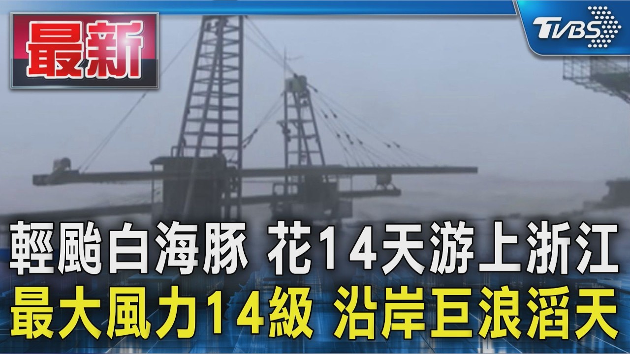 輕颱白海豚 花14天游上浙江 最大風力14級 沿岸巨浪滔天｜TVBS新聞 @TVBSNEWS01