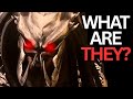 Did Predator Killer Of Killers Just Show The SCARIEST Yautja Yet