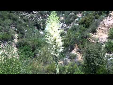 Tunnels to Nowhere, Highway 39, CA