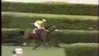 1999 Breeders' Cup Turf 1999 Breeders' Cup Turf