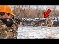 Big Buck Dropped In Its Tracks Rifle Deer Hunting