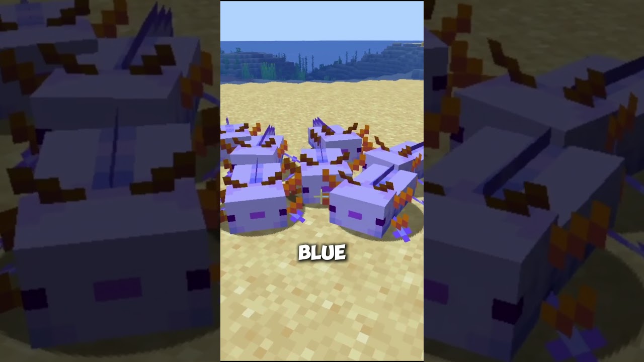 How to get the RARE BLUE AXOLOTL in #minecraft
