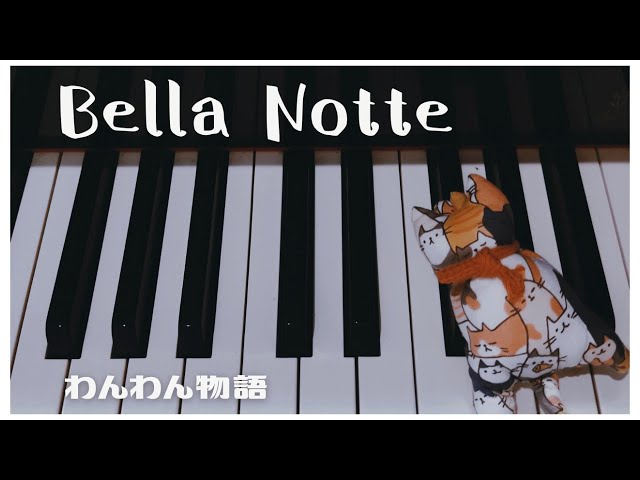 Bella Notte