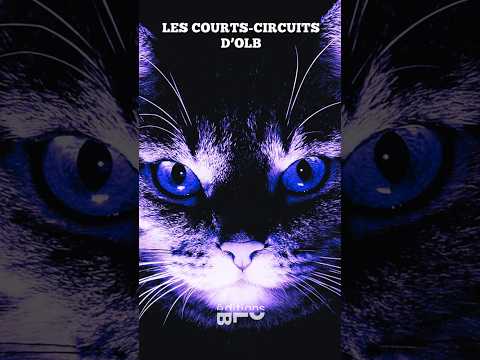 📚 Un chat hypnotique, trois romans coups de cœur et une promesse : celle de lire autrement.