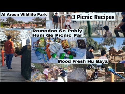 How to Have a Perfect Picni/3 Travel Food Recipes/Picnic Ideas/Picnic Vlog by(cooking with aneela)