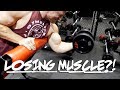 This Is Killing My Gains - Physique Update