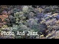[Playlists]노상현사진전시회, 칼 덴슨[Karl Denson]  The Rumpwinder