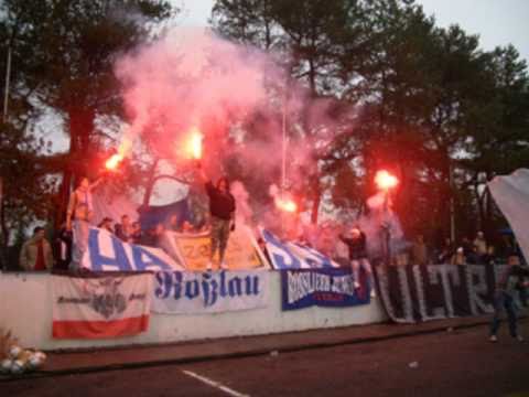 Ultras Rosslau,Brigata Germania