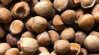 5 Food Starting With H Non Cholestrol