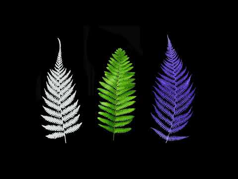 AnnenMayKantereit - Du Tust Mir Nie Mehr Weh