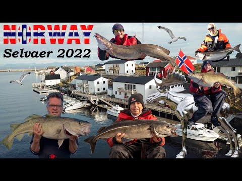 Angeln in Norwegen 2022 - Insel Selvaer bei Traena