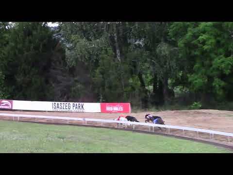 Race 9 Czech Derby Trial Stakes - OR 485m