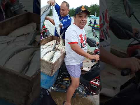 Pantai berigak bangka belitung