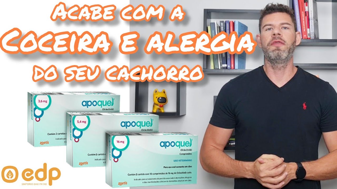 127 | APOQUEL PARA CACHORRO SE COÇANDO, LAMBENDO A PATA, COM ALERGIA, COM DERMATITE.
