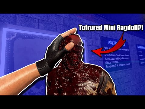 I Tortured the Mini Ragdoll in Hard Bullet VR!