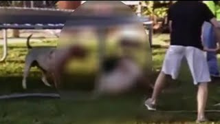 Dangerous dog fight sparks neighborhood complaints