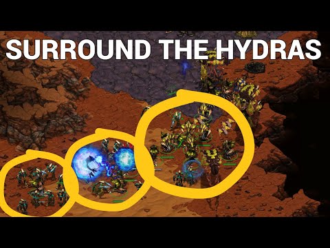 StarCraft 1: MELEE UNITS ONLY??? - beast vs Motive | MPL